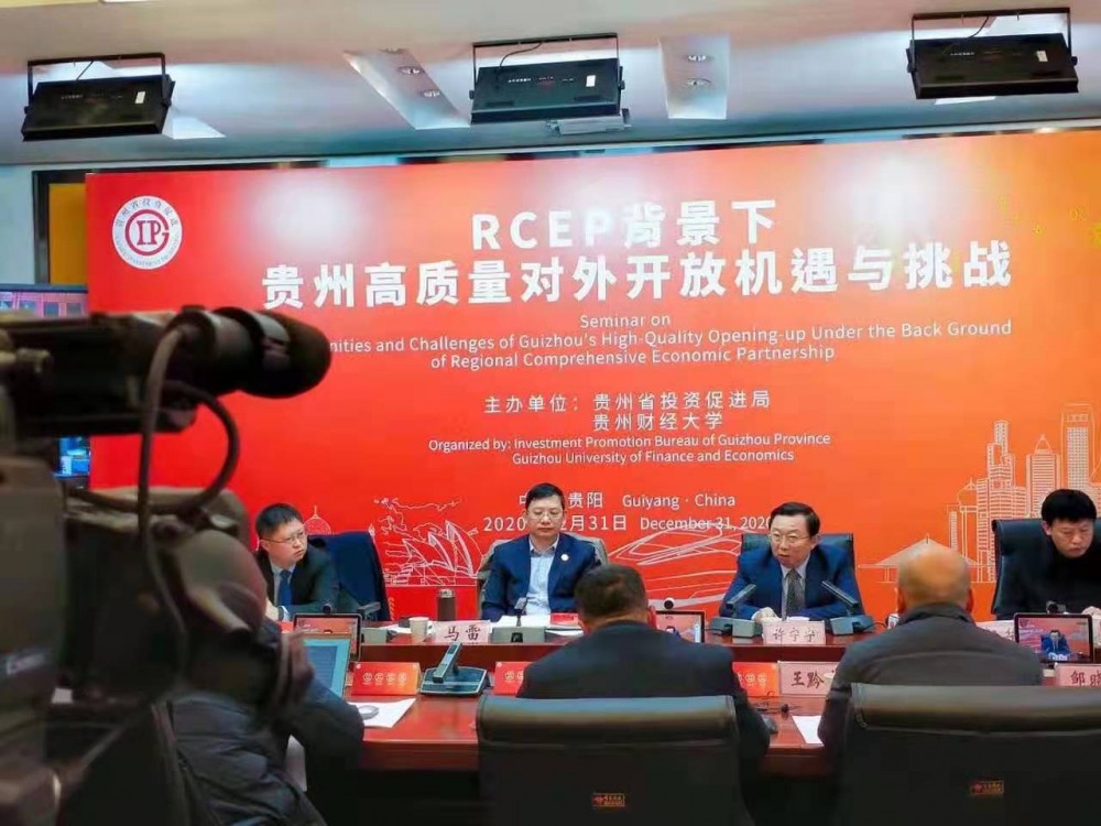 许宁宁在“贵州机遇与挑战研讨会&ා039；“中国在RCEP下的高质量对外开放”