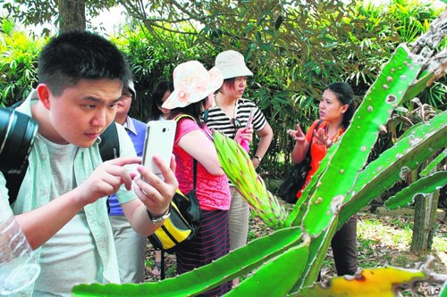 新加坡侨团举办榴梿之旅 新移民感受异域风情