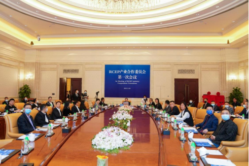 The 1st RCEP Industry Cooperation Committee was Held