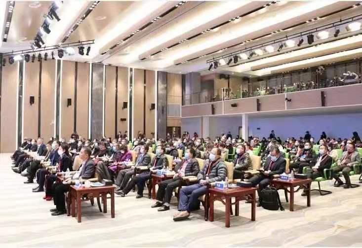 Xu Ningning delivered a keynote speech at the production and sales matchmaking meeting of Guizhou Province Traditional Chinese Medicine and &quot;Customized Medicine Park&quot;: RCEP